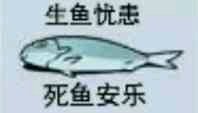 感谢这只黑壳虾，献身科研，用自己的生命为我换回了科学知识，值得尊敬。