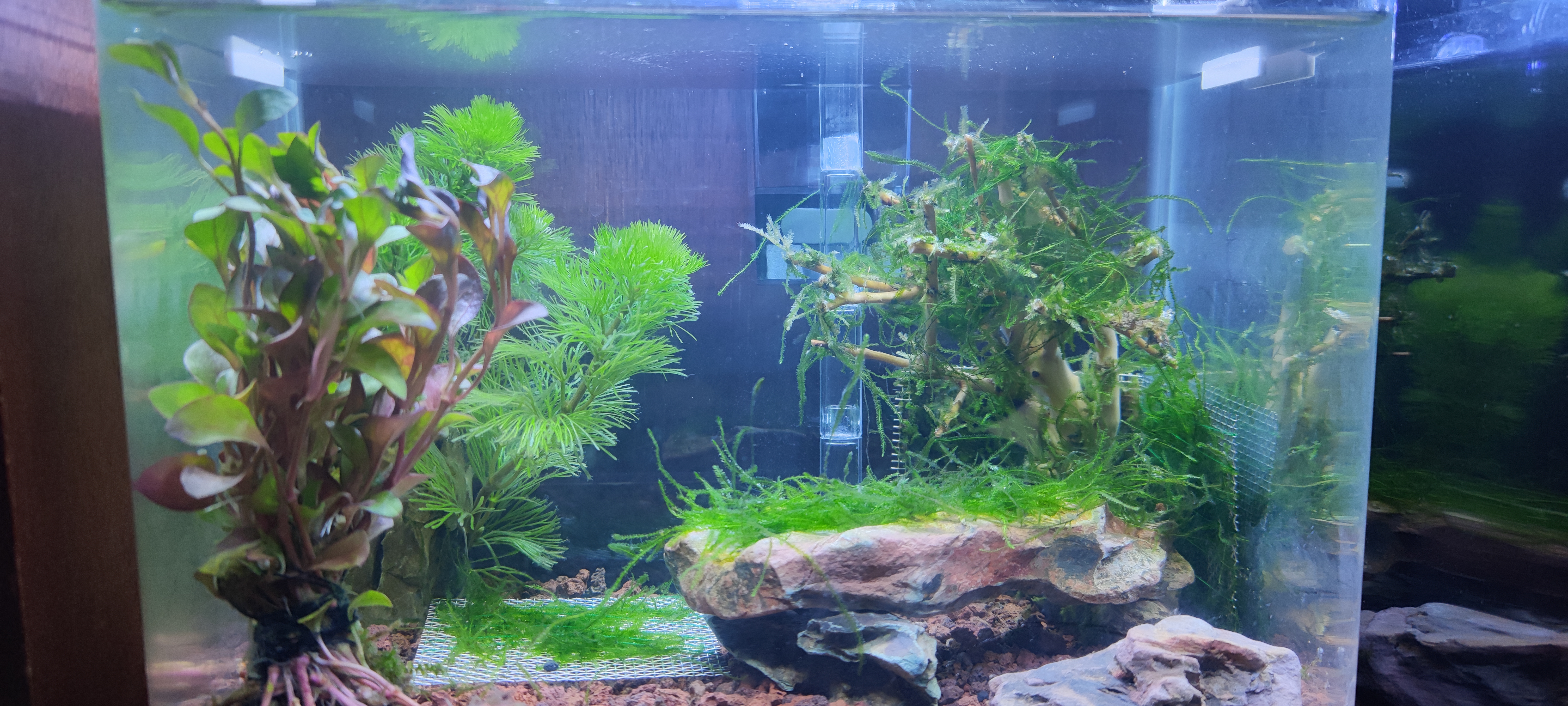 搭建起最开始的模样