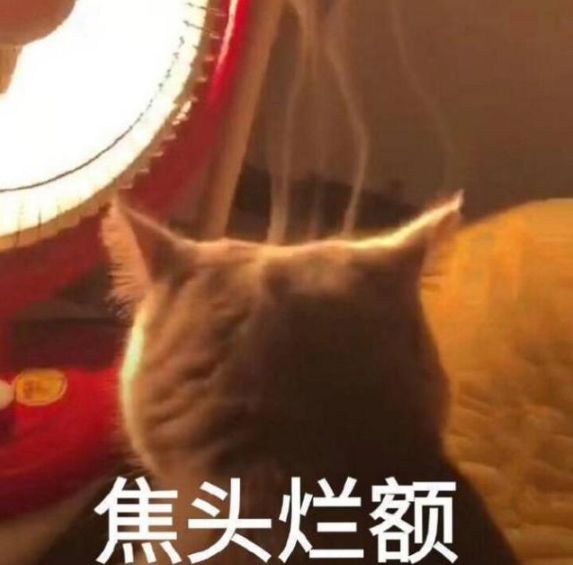 崩溃后找不到原因时的状态
