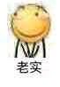 道理我都懂，但我就是想花里胡哨