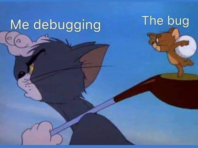 当我寻找BUG时